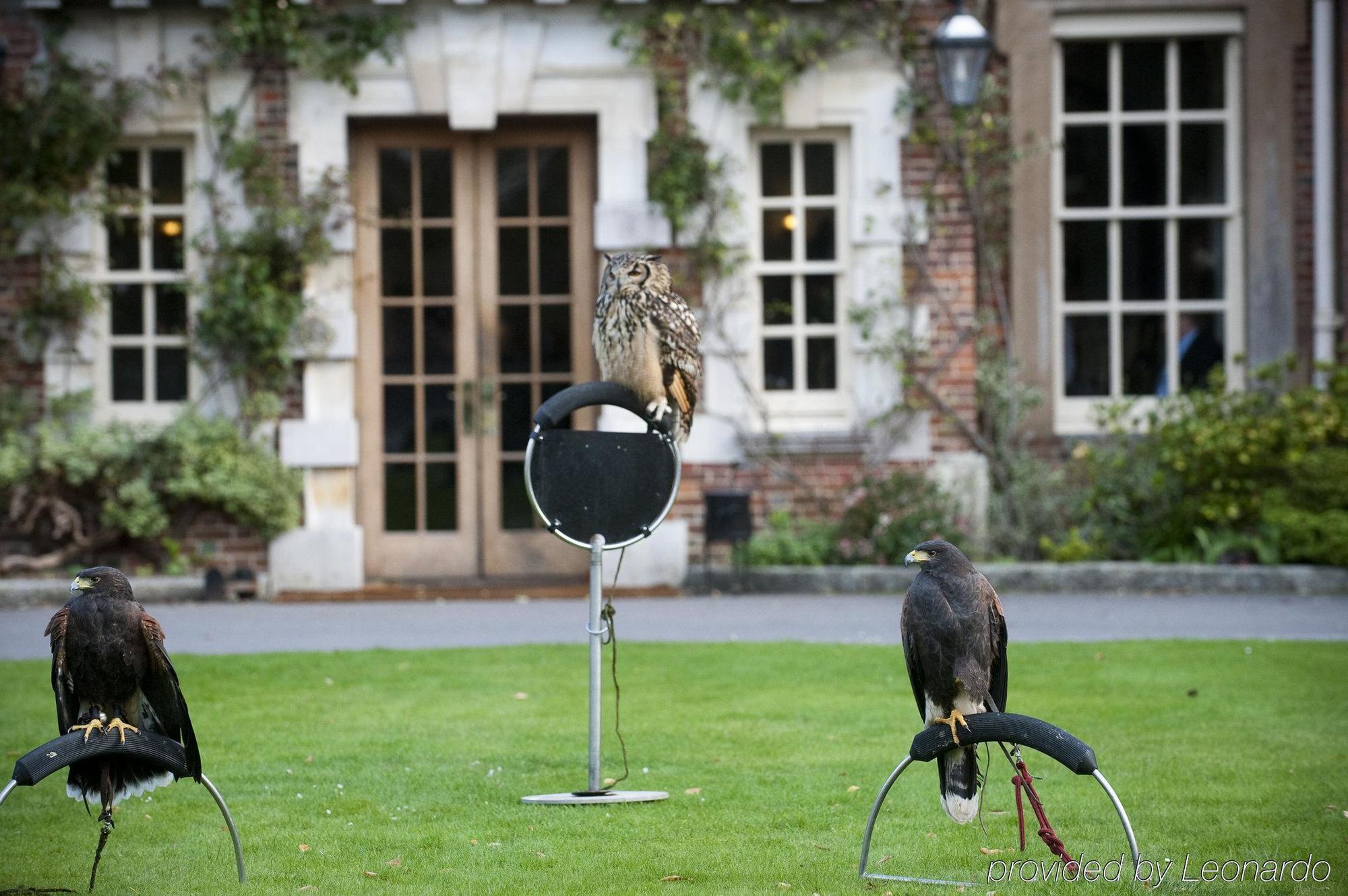 Lainston House Hotel Winchester Amenities photo